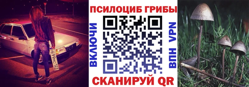 Галлюциногенные грибы Cubensis  Омутнинск 